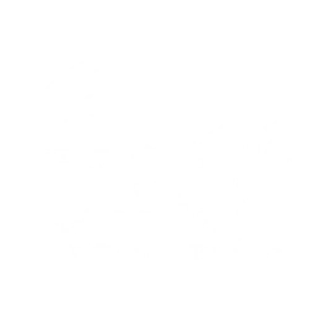 Logo de la corrida pedestre de Toulouse