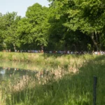 Coureurs participant à une course à pied sur un parcours naturel