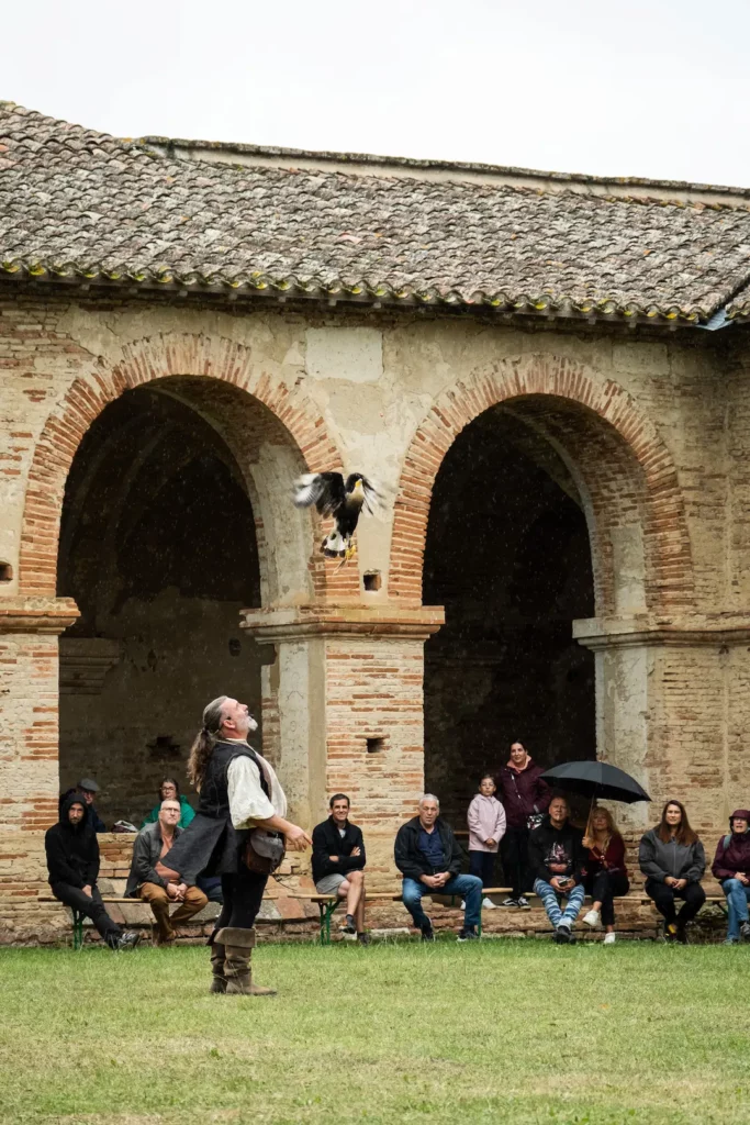 spectacle médiéval avec faucon en vol devant le public